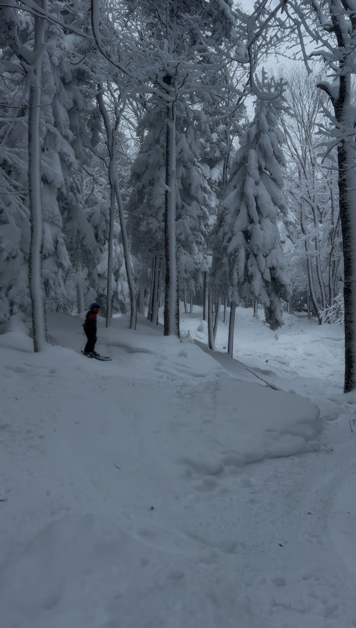 A snowy forest path with a person skiing.