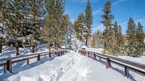 A snow-covered pathway flanked by wooden railings and tall evergreen trees.