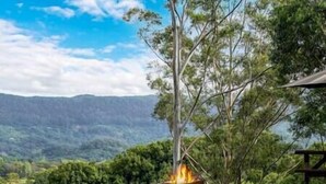 A campfire in a grassy area with trees and a mountain in the background.