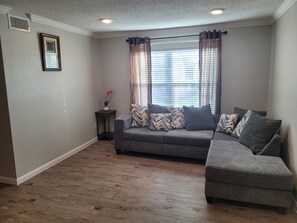 TV - Lovely and Spacious one bedroom rental (Houston)