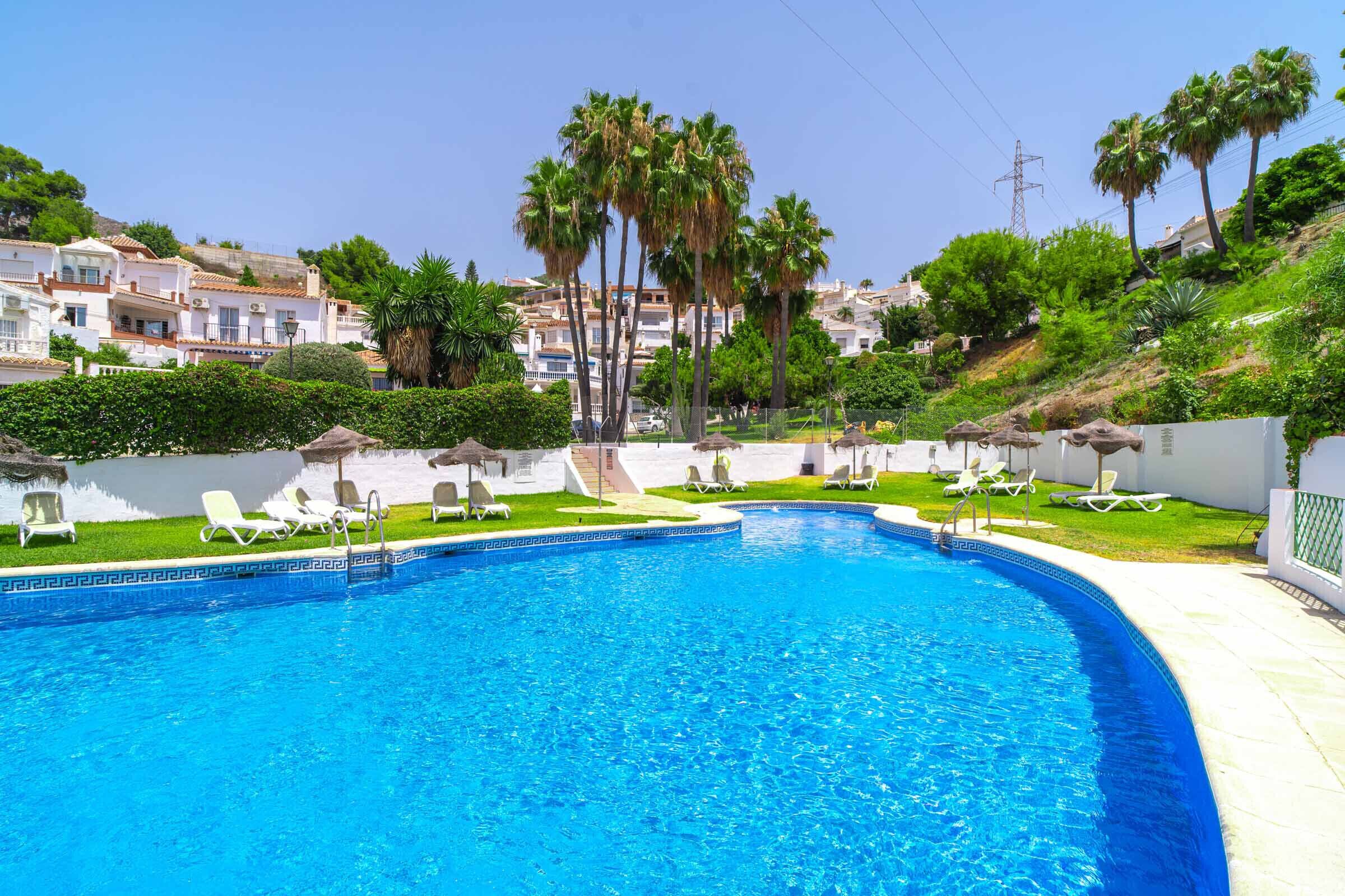 A swimming pool with lounge chairs and palm trees.