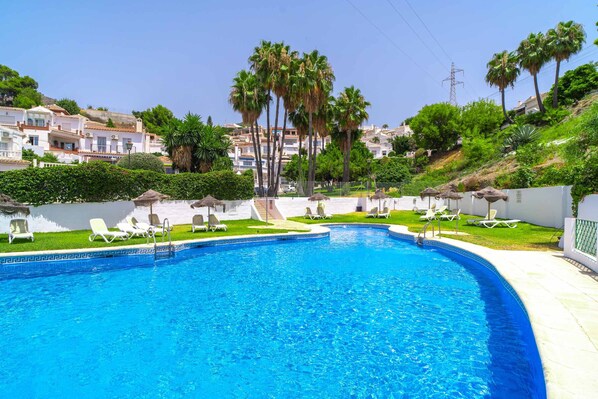 A swimming pool with lounge chairs and palm trees.