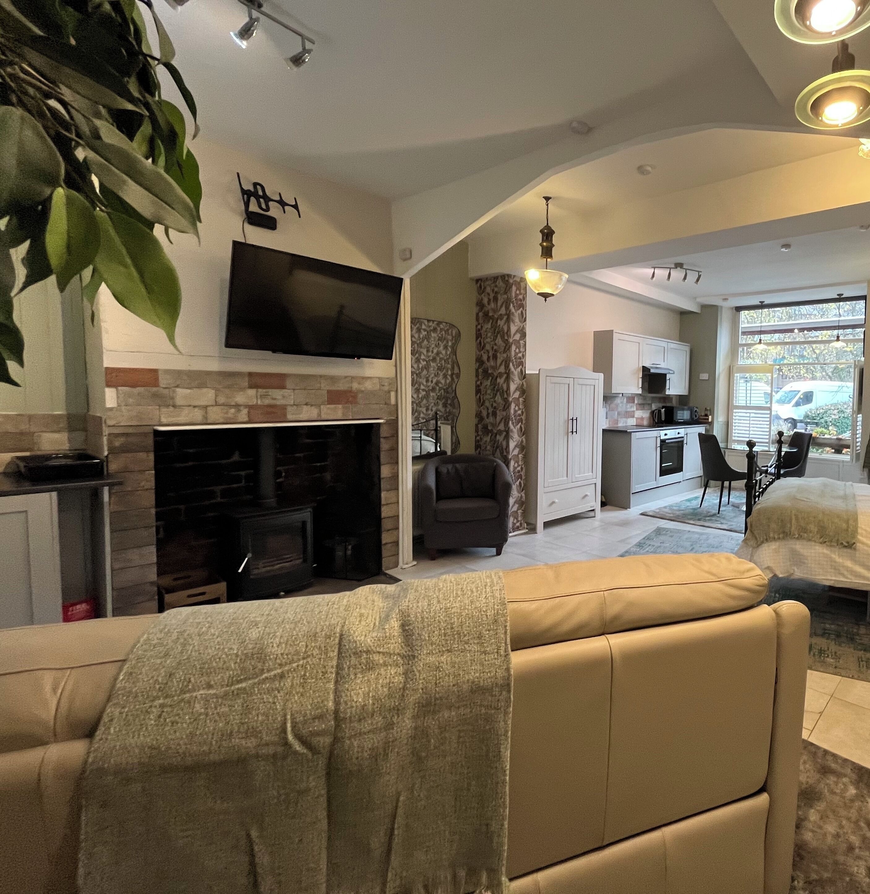 Smart TV, fireplace, books