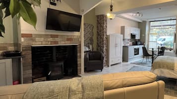 Smart TV, fireplace, books