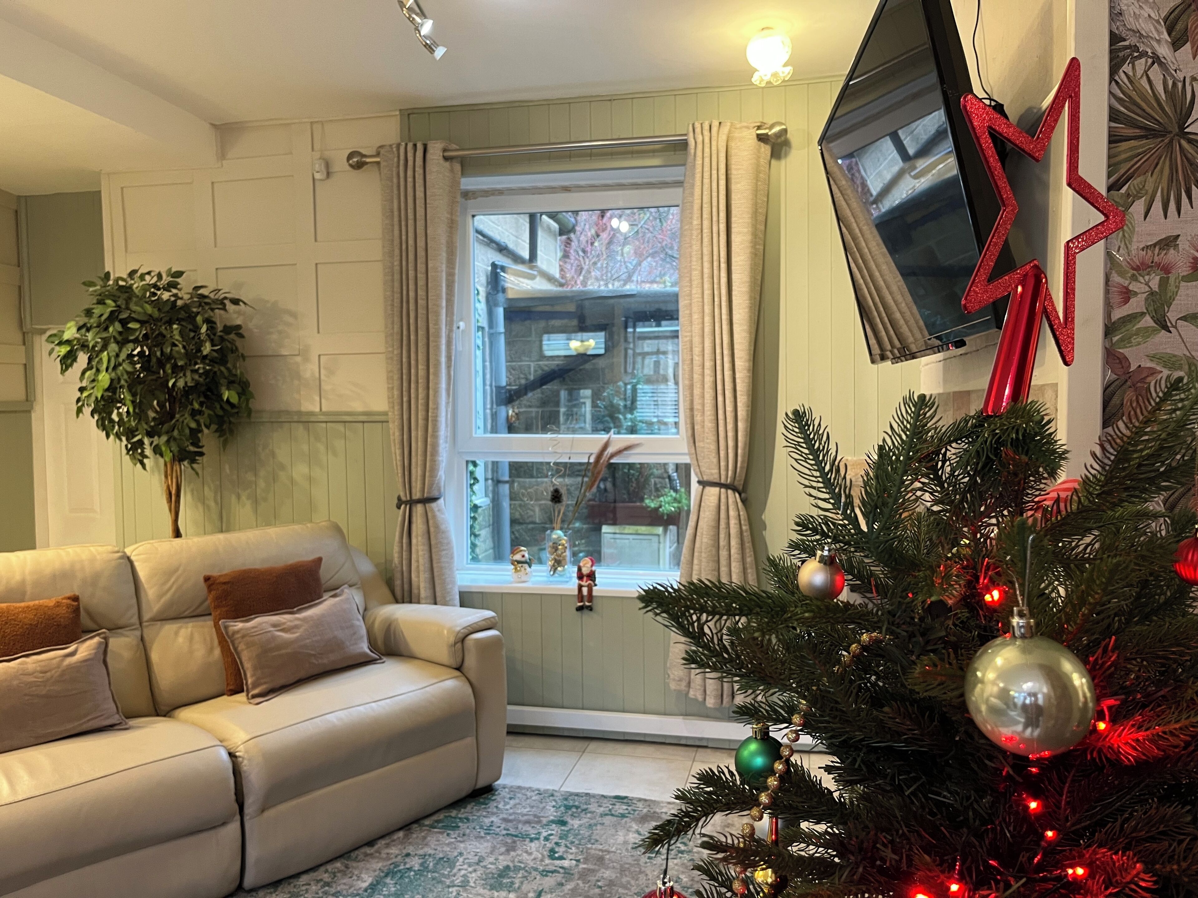 Smart TV, fireplace, books