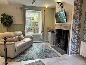 Smart TV, fireplace, books