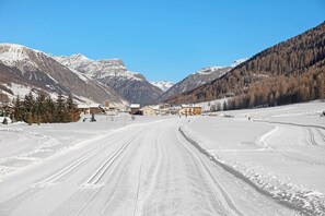 Miscellaneous - Paradisin Apartment with Mountain Views (Livigno)