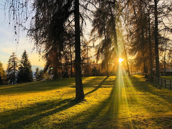 A park with trees and a path.