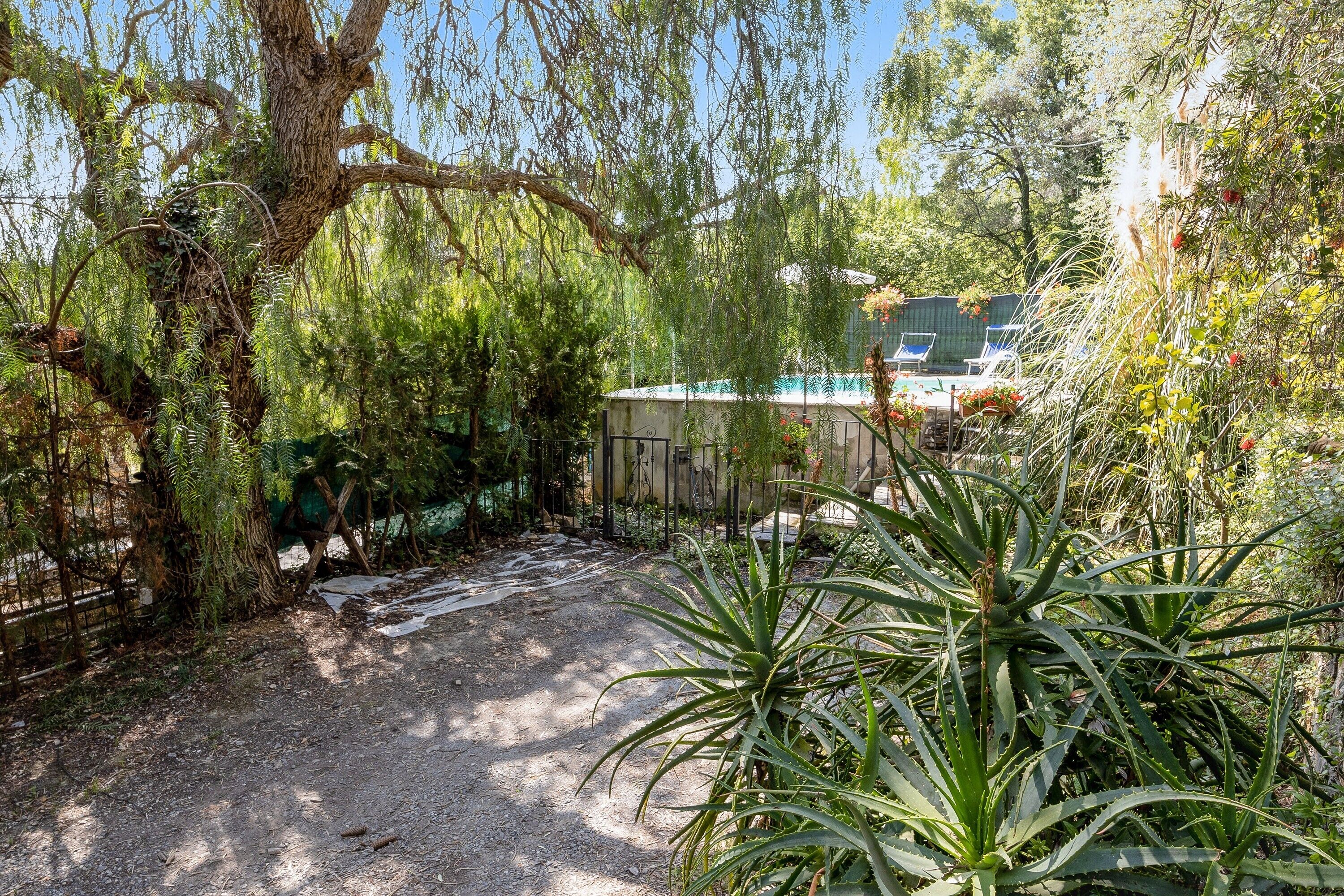 A garden with a tree, a pool, and a fence.