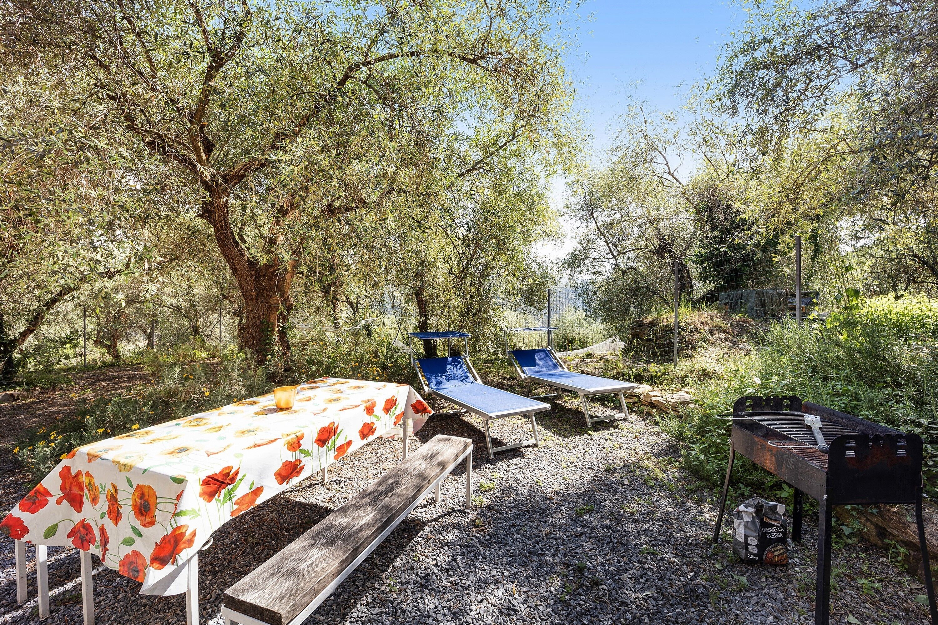 Zona salotto all'aperto con tavolo e panche, circondata da alberi e un barbecue.