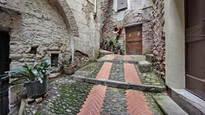 Un estrecho patio de piedra con un camino empedrado, una puerta de madera y plantas en macetas.