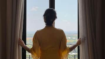 Vista desde la habitación