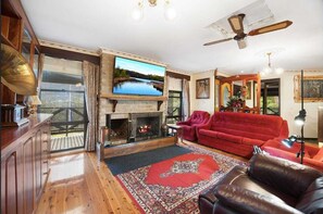 Télévision, cheminée, jeux vidéo, lecteur de DVD