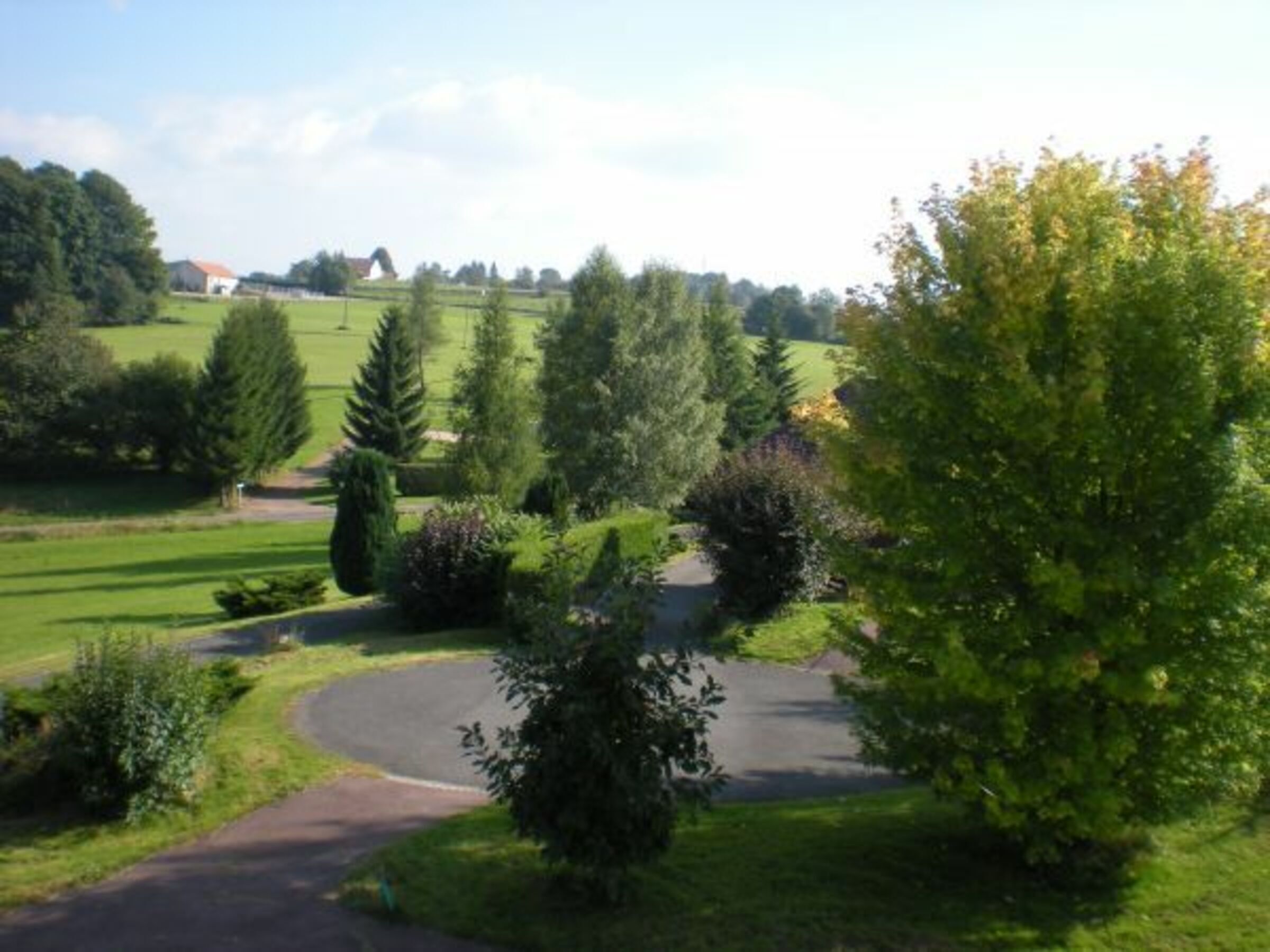 Un sentier qui traverse un parc, bordé de différents types d’arbres, et mène à un bâtiment situé au loin.