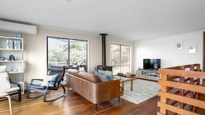 TV, fireplace