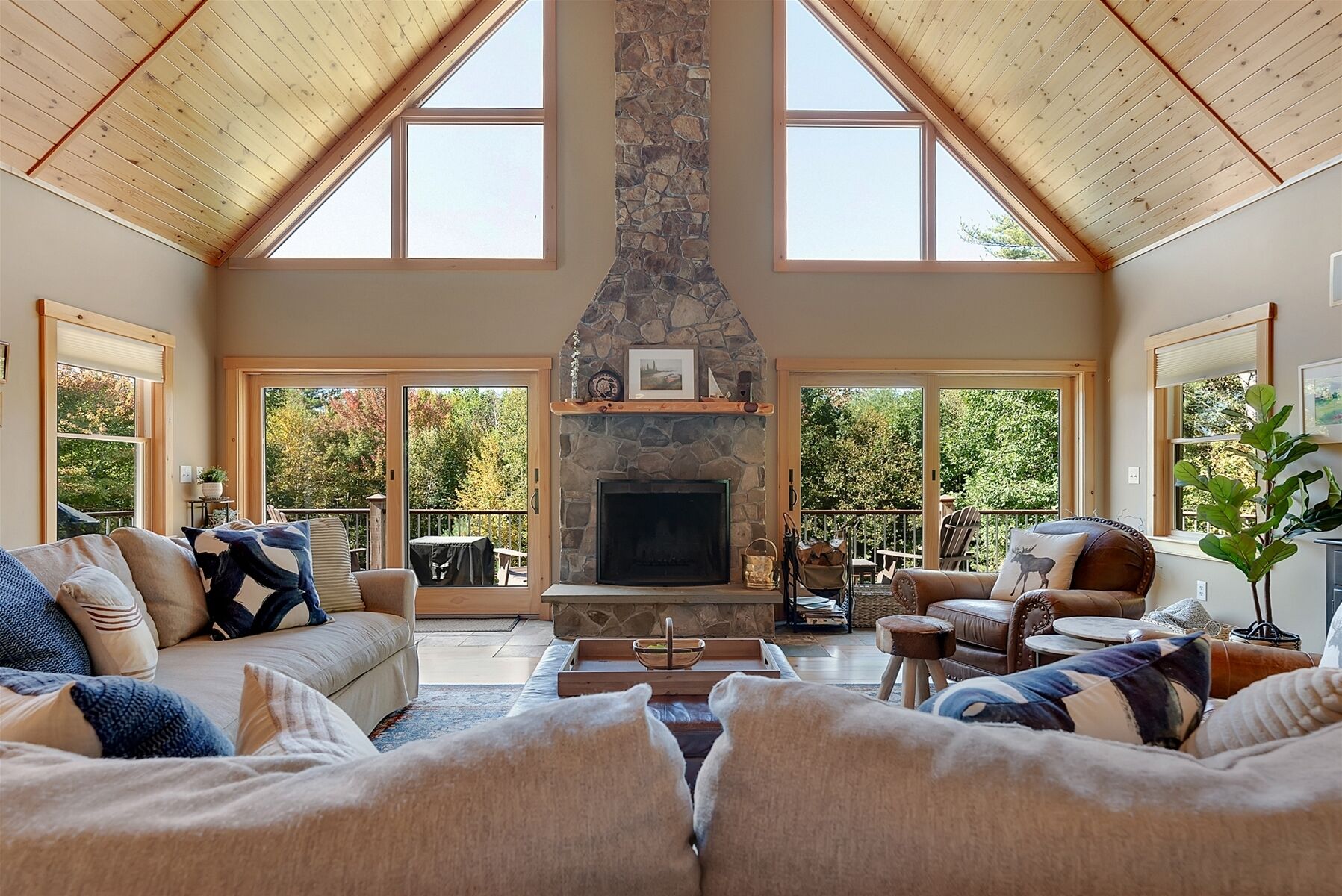 Televisión, chimenea, videojuegos y reproductor de DVD 