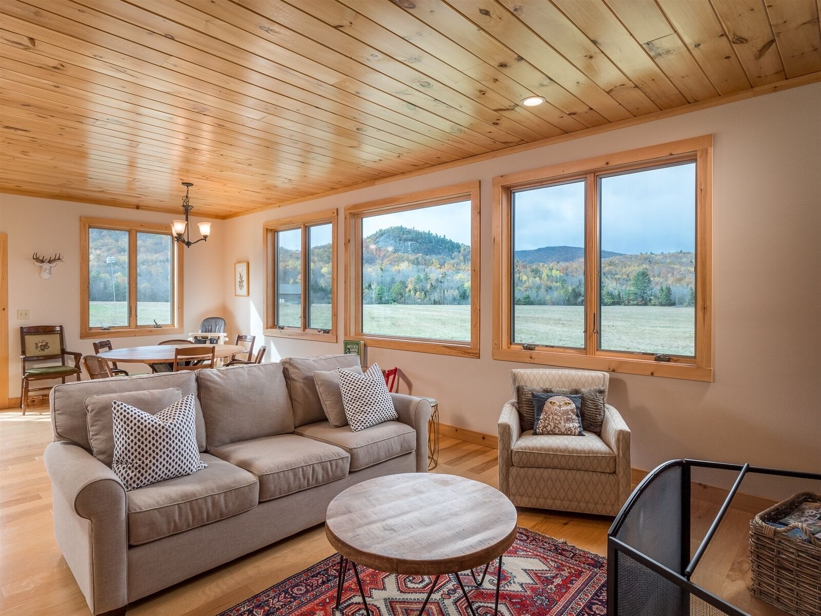 تلفزيون، مدفأة، مشغل دي في دي