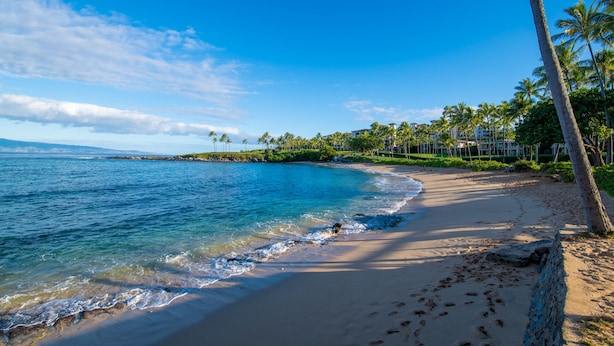 A beach with clear blue water, palm trees, and a resort in the background. - Luxury Kapalua Golf Villa With Beautiful Sweeping Views (Lahaina)