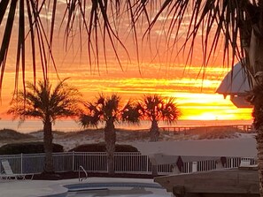 A sunset view with palm trees and a pool area. - New Condo built 2021, Ocean Front ! 2 BR 2Bath sleeps 6 (Gulf Shores)