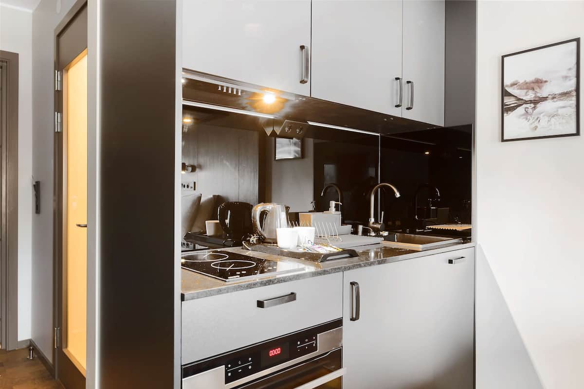 standard room, 2 single beds, non smoking, kitchenette | private kitchen | coffee/tea maker, paper towels