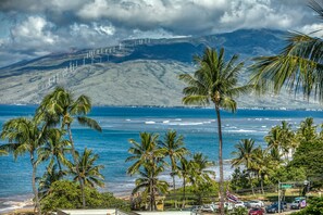 A coastal view with palm trees, a beach, and wind turbines in the background.