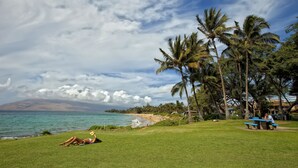 Une zone herbeuse avec une plage et des palmiers en arrière-plan.