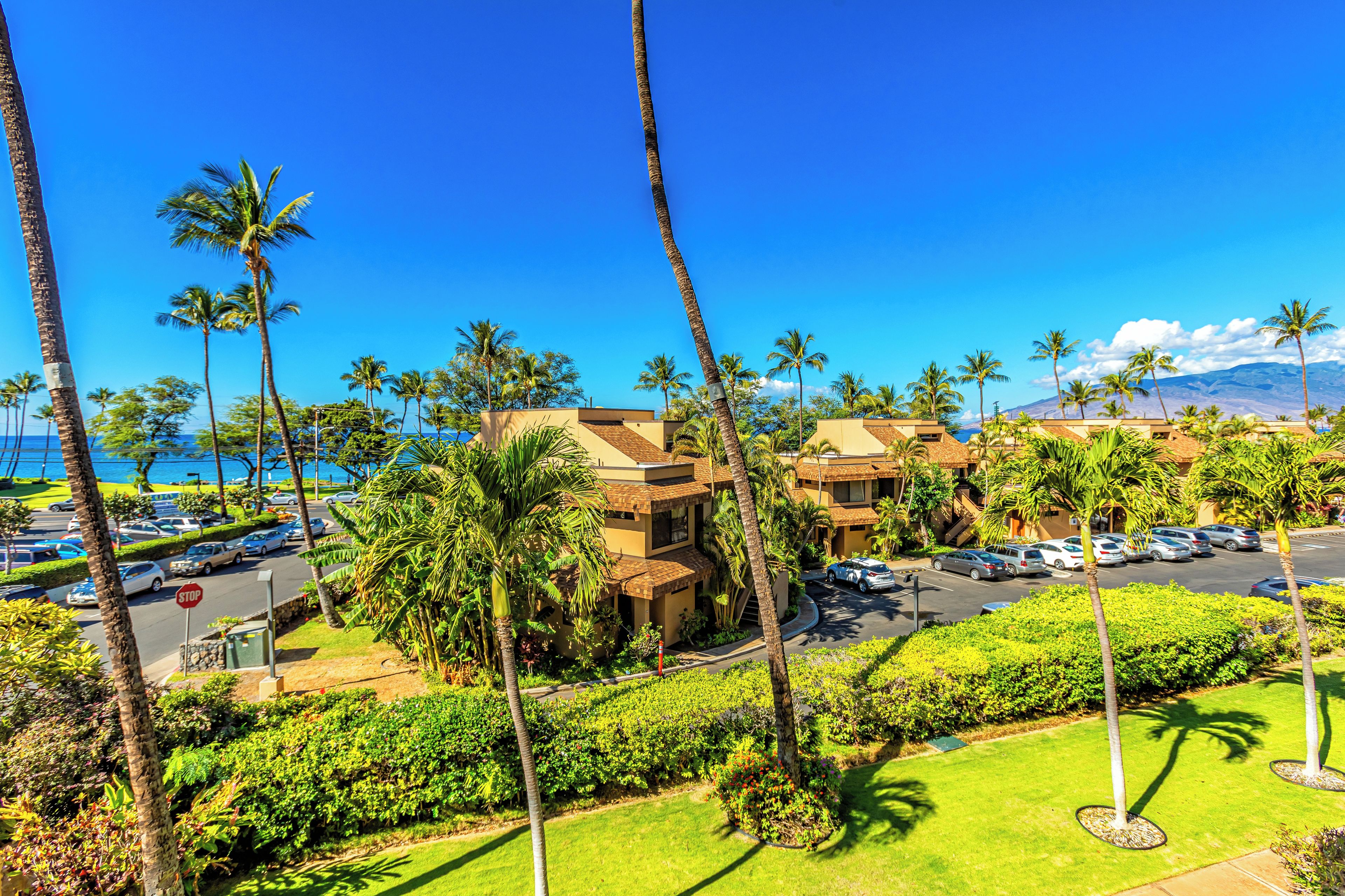 A hotel with a parking lot, palm trees, and a view of the ocean.