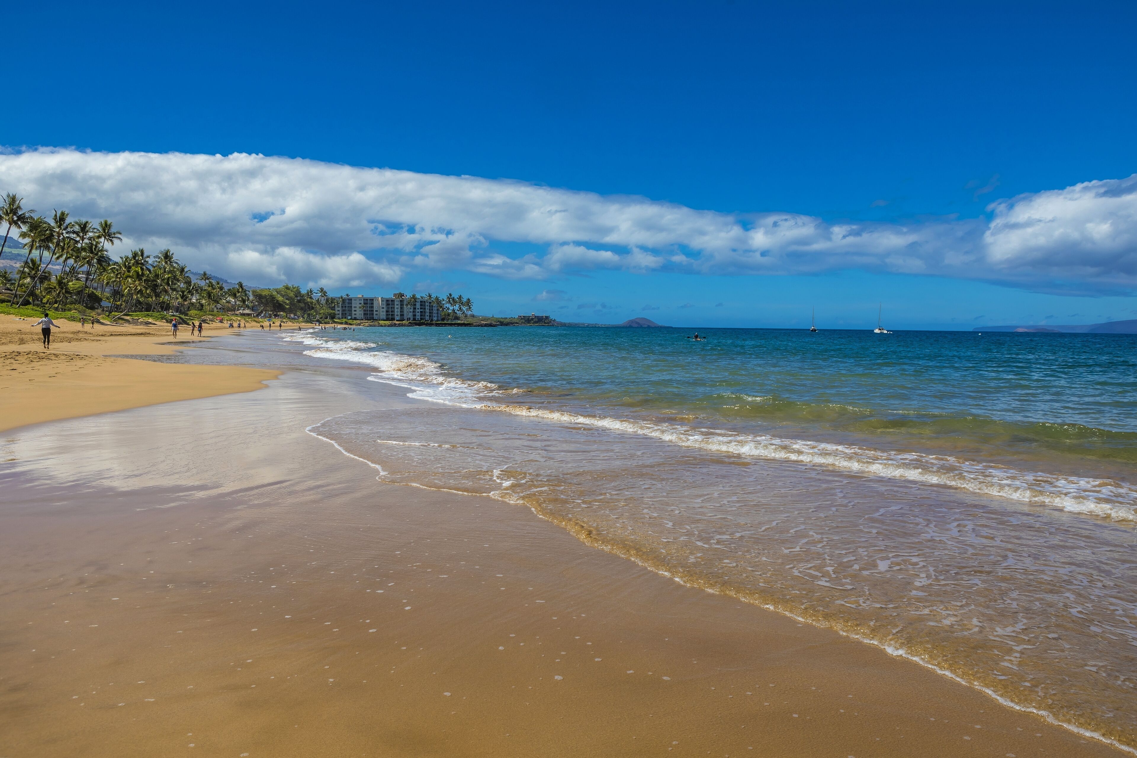 Una playa con cielo despejado, olas suaves y palmeras.