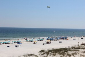 A beach with umbrellas and sun loungers, a clear sky, and a distant kite.