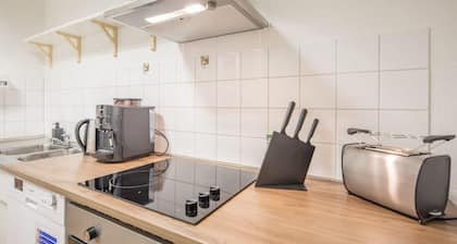 Spacious 2 BR Apartment Hamburg