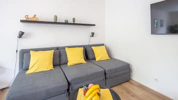 Fernseher, Arbeitsbereiche