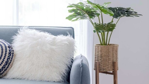 A room with a grey sofa, a white fluffy pillow, a woven plant stand, and a light-colored rug.