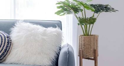 Pet Friendly Battery Hill Home away from Home
