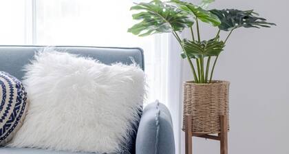 Pet Friendly Battery Hill Home away from Home