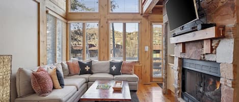 TV, fireplace, offices