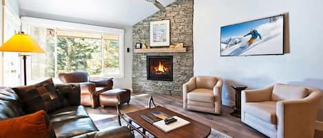 Télévision, cheminée, jeux vidéo, lecteur de DVD