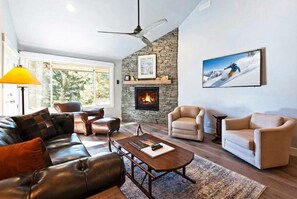 TV, fireplace, video games, DVD player