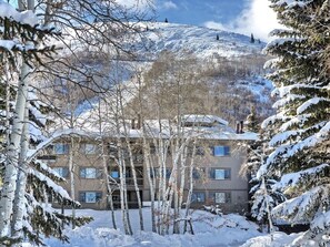Situated in a mountainous region, this hotel offers stunning views of snow-covered peaks.