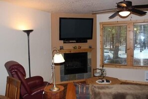 TV, fireplace, DVD player, books