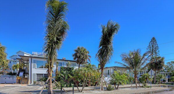 A coastal residential area with modern houses, palm trees, and a clear blue sky.