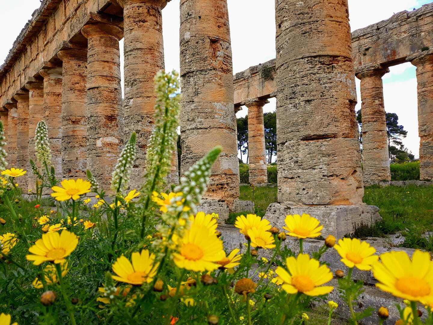 De vieilles colonnes de pierre, avec des fleurs jaunes au premier plan.
