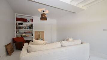Smart TV, fireplace, DVD player, books