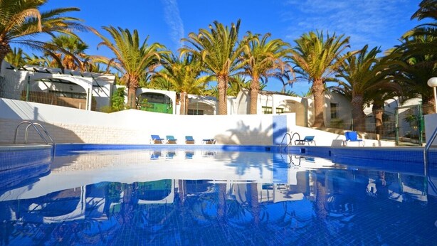 Une piscine à l’eau d’un bleu cristallin, entourée de palmiers et de chaises longues.