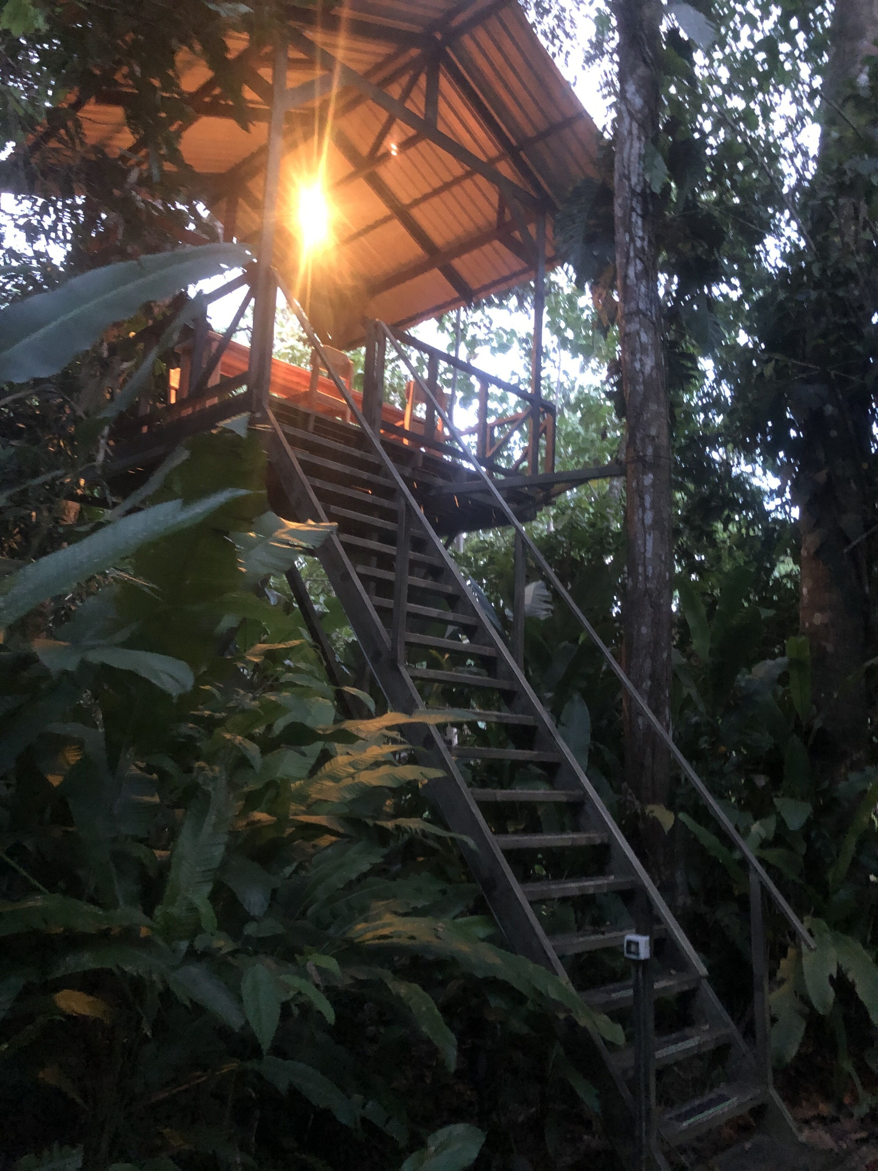 Overnatningsstedets område