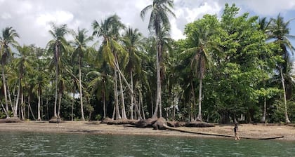 Kraken Cabin-escape in the jungle, abundance of wildlife, walk to Golfito Bay.
