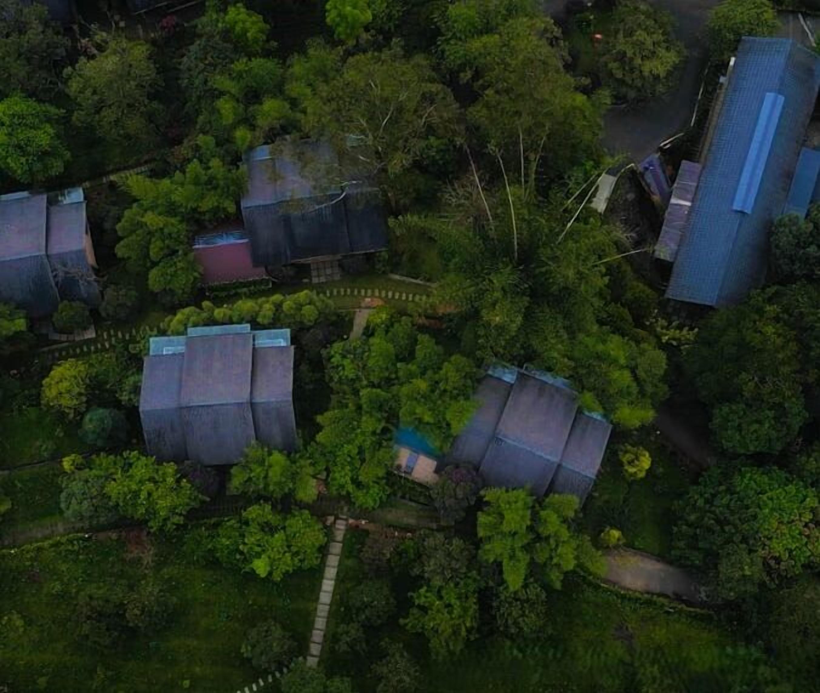 An aerial view of a residential area with multiple houses surrounded by dense greenery.