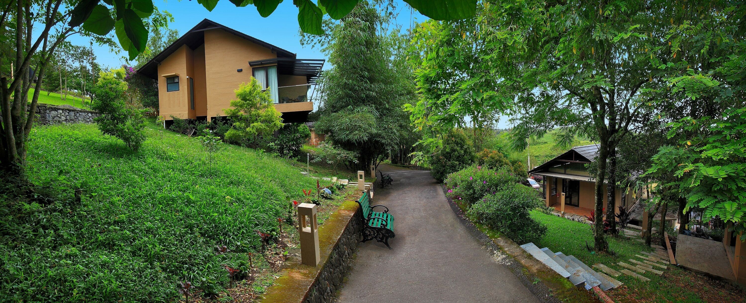 A pathway leading to a modern house surrounded by lush greenery.