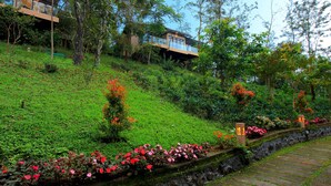 Una colina con una casa moderna, abundante vegetación y un camino de piedra.