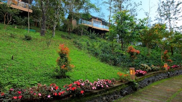 Vistas desde la habitación