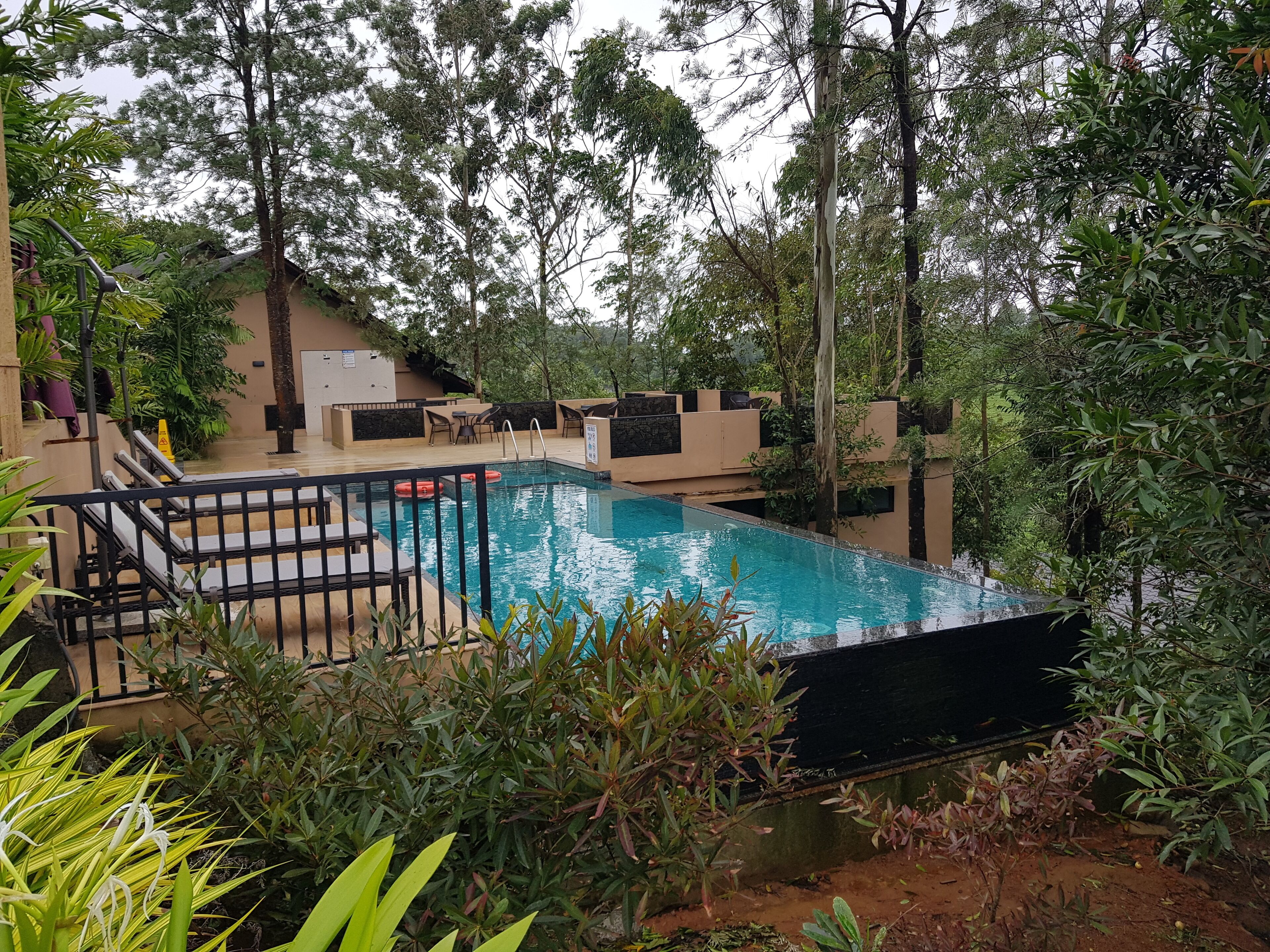 A swimming pool surrounded by greenery, with steps leading into the water and outdoor seating areas.